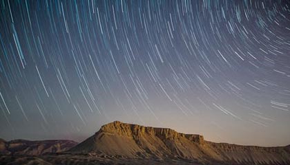 广州对比佛山,哪座城市更懂得品茶?