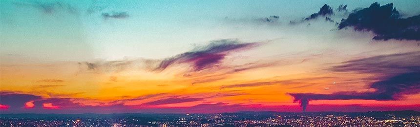 临清茶虫网_临清品茶